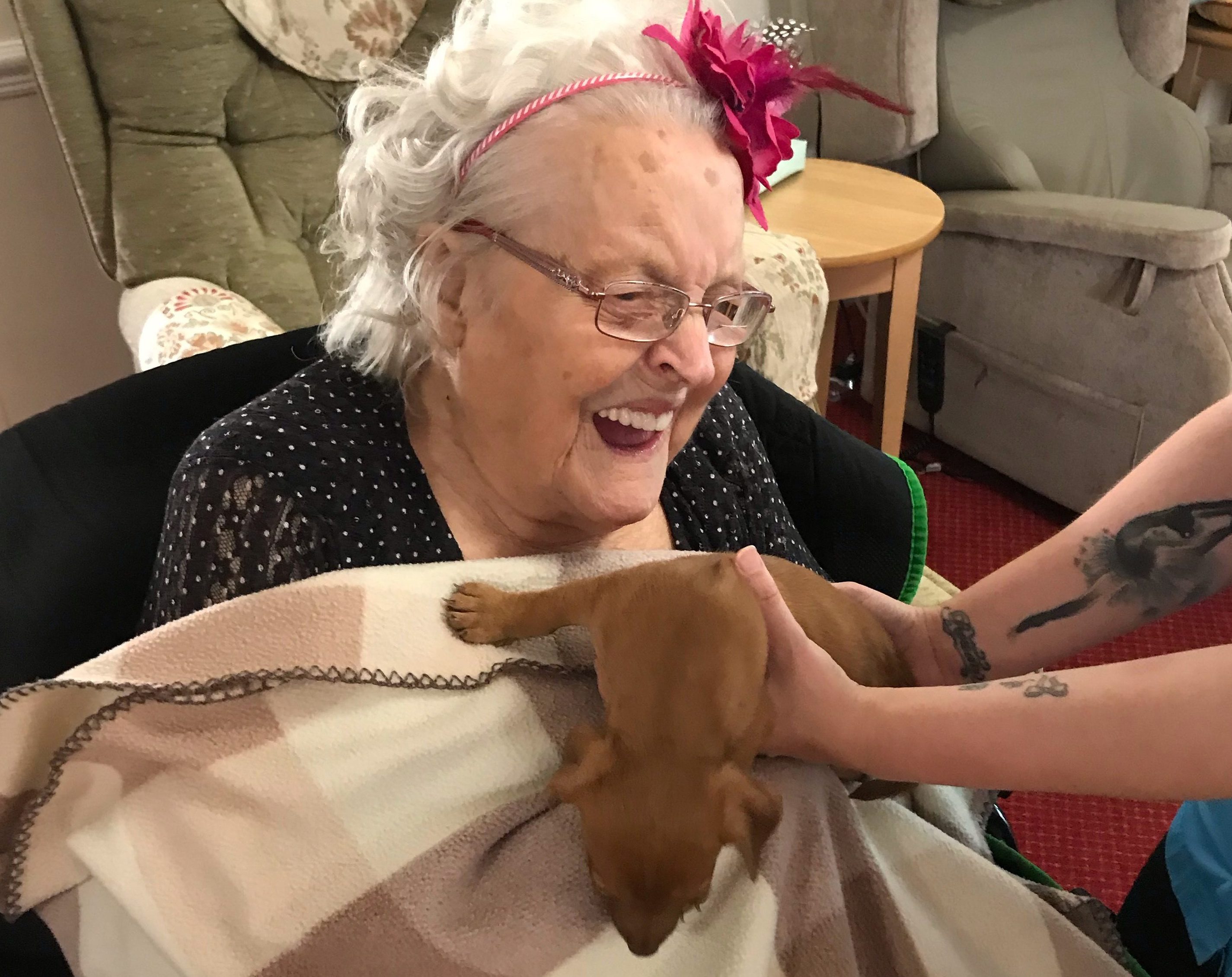 Puppy Therapy at a Care Home in Belper